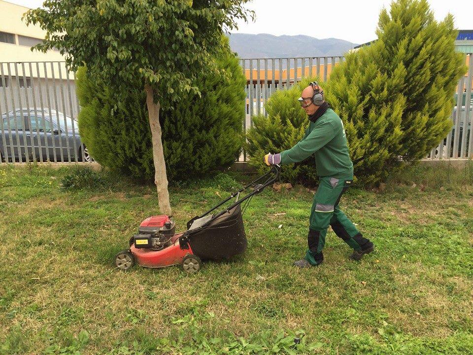 jardinería